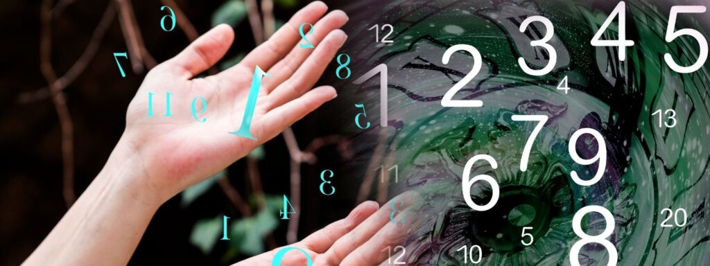 Best Numerology Expert in Kolkata How Numbers Can Change Your Destiny
